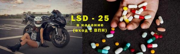 молекула духа Вяземский