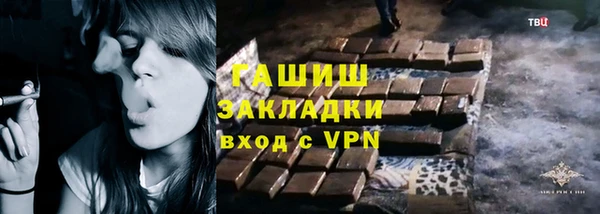 молекула духа Вяземский