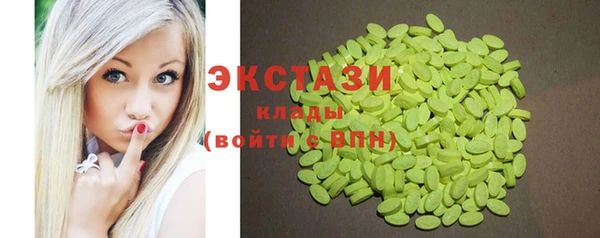 молекула духа Вяземский