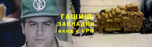 молекула духа Вяземский