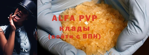 молекула духа Вяземский