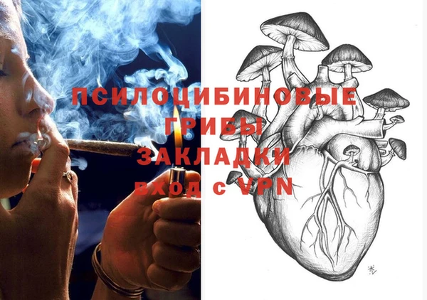 молекула духа Вяземский