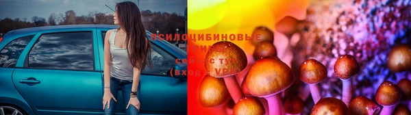 2c-b Вязьма