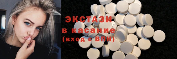молекула духа Вяземский