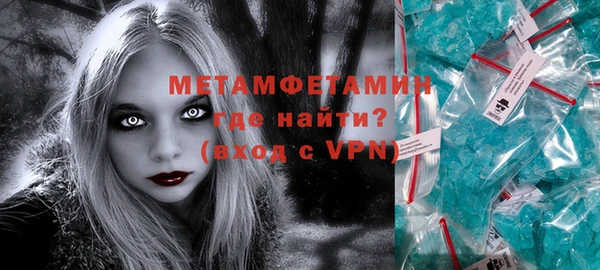 молекула духа Вяземский
