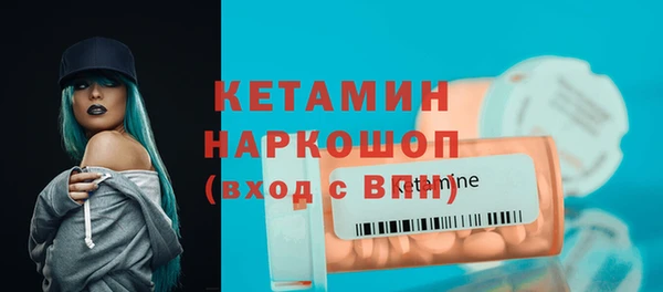 молекула духа Вяземский