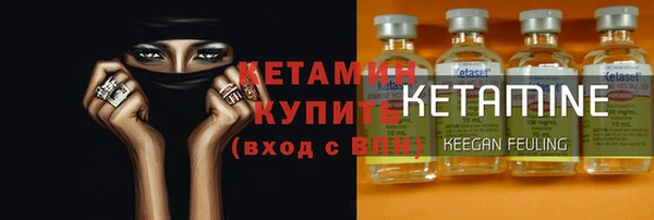 молекула духа Вяземский