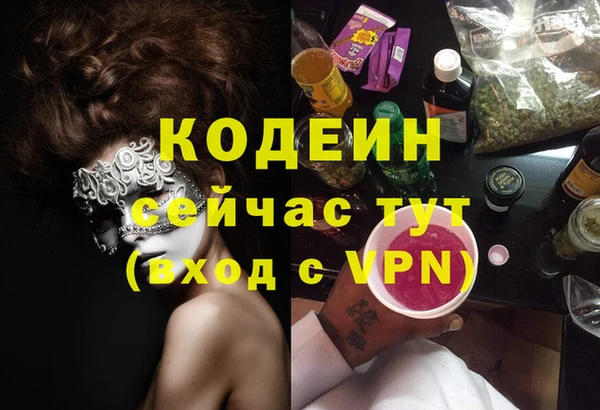 молекула духа Вяземский