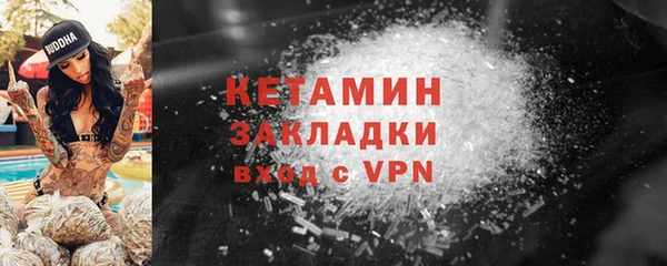 молекула духа Вяземский