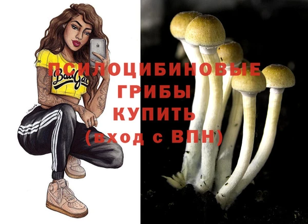 молекула духа Вяземский