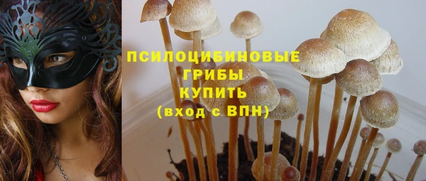молекула духа Вяземский