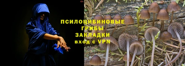 2c-b Вязьма