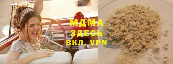 молекула духа Вяземский