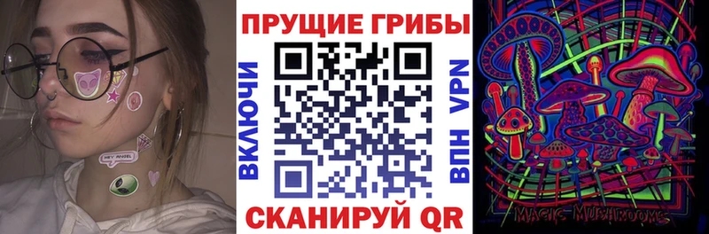даркнет сайт  Ростов-на-Дону  Галлюциногенные грибы GOLDEN TEACHER 